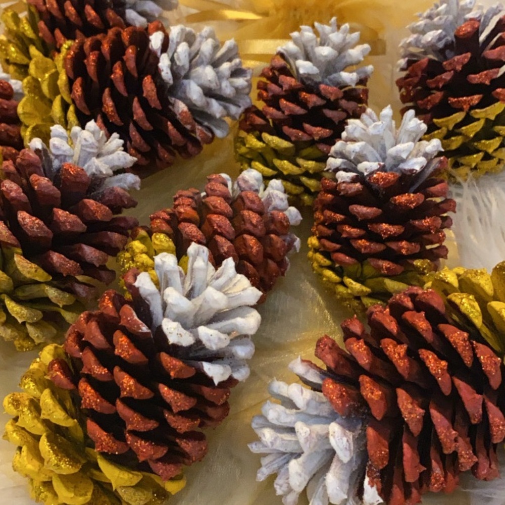 Set of 10 Magickal Pine Cones! Intuitively Naturally Chosen Hand Painted Pieces